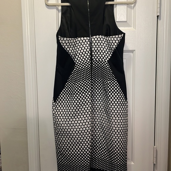 Laundry Pock a dot Dress - Picture 5 of 5